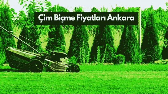 Ankara Çim Biçme Fiyatları: Metrekare başına 5 – 15 TL