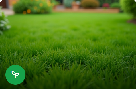 Peyzaj metrekare fiyatları 2026