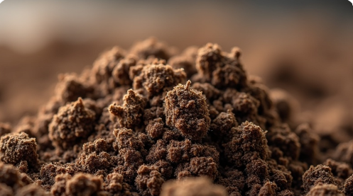 Ankara Elenmiş Toprak Metreküp Fiyatı